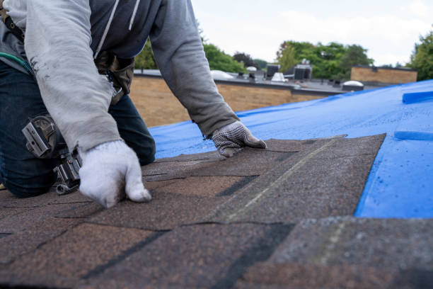 Best Roof Gutter Cleaning  in Kentfield, CA